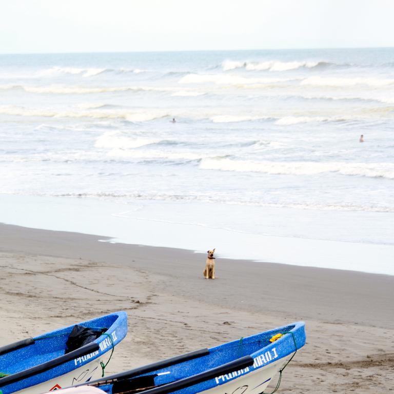 Azul Surf Club Hotell El Cuco Exteriör bild